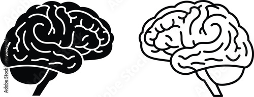 Brain Anatomy Silhouette Line Art, Cerebral Hemispheres, Anatomical Organ