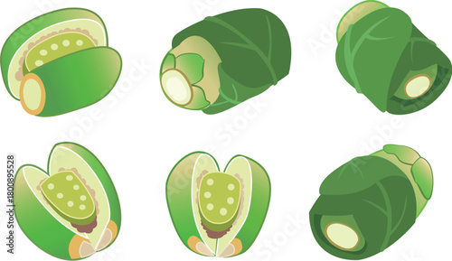 A vector illustration set of Taiwan betel nuts (areca nuts) shown in multiple angles and cross-sections. This cultural food ingredient is commonly seen in Taiwan and Southeast Asia. Suitable for educa