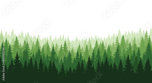 Stylized panoramic illustration of a lush evergreen forest with multiple layers of green pine trees on a white background.