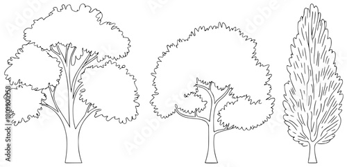 Black and White Line Art Illustrations of Three Different Trees