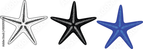 Camcorder Viewfinder Display with Menu Icons, 4K 8K Resolution on Transparent Background