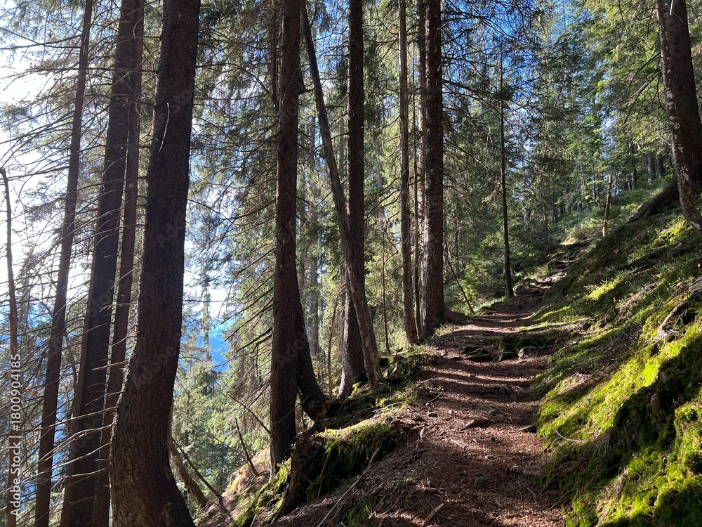 Obraz premium Hiking trails or mountaineering routes in the autumn Swiss Alpine environment and in the Bernese Oberland region, Switzerland - Wanderwege oder Bergrouten in der Schweizer Alpenlandschaft, Schweiz