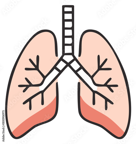 Lungs icon vector illustration of human respiratory system for medical and health concepts