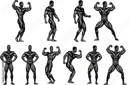 Bodybuilder poses set. Vector illustration collection of a muscular man flexing. Fitness gym icon. Isolated strong athlete.