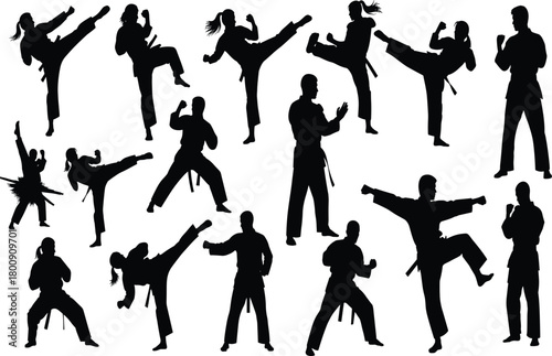 Martial arts silhouettes vector set. Collection of male and female fighters in karate and taekwondo kicking and punching poses.
