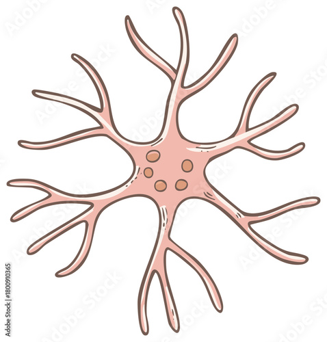 Cartoon neuron cell illustration. Detailed depiction of a biological nerve cell.