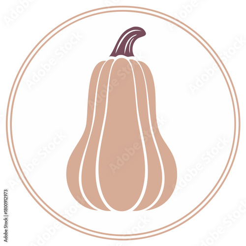 Butternut squash illustration within double circle in beige and purple tones, autumnal design element