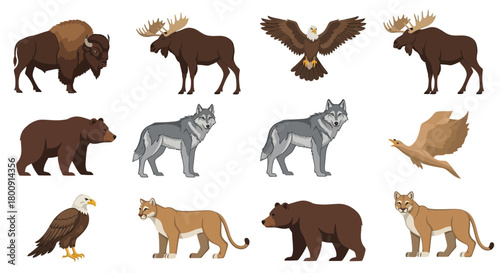 Majestic North American wildlife collection featuring powerful bison, elegant moose, fierce wolves, soaring eagles, and cunning cougars