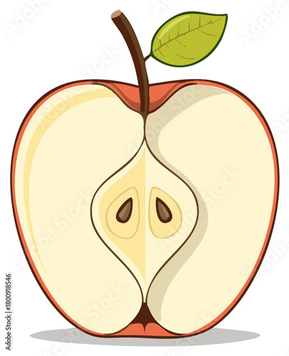 Halved Red Apple Illustration with Seed Detail and Green Leaf