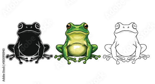 Illustration of a frog in different styles, including a black silhouette, a colored version, and an outline drawing