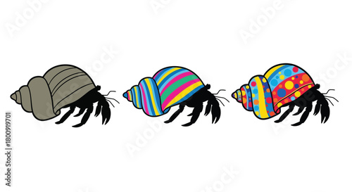 Three hermit crabs with different shells, one gray, one with rainbow stripes, and one with colorful circles