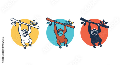 Three orangutans hanging from a branch, each with a different color scheme