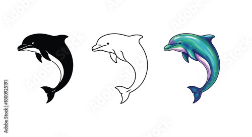 Three dolphin illustrations in black silhouette, outline, and color, showcasing marine animals grace and beauty
