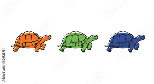 Three turtle illustrations in orange, green, and blue, showcasing reptiles slow and steady nature