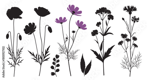 Illustrations of delicate wildflowers in silhouette with pops of purple and black botanical elements.