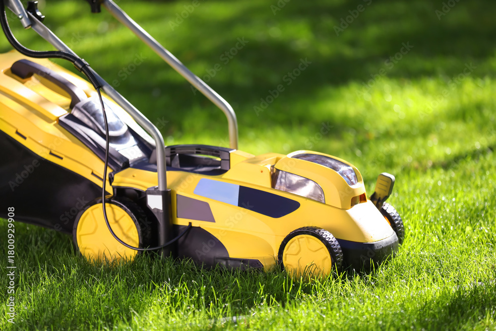 Fototapeta premium Modern lawn mower on green grass outdoors