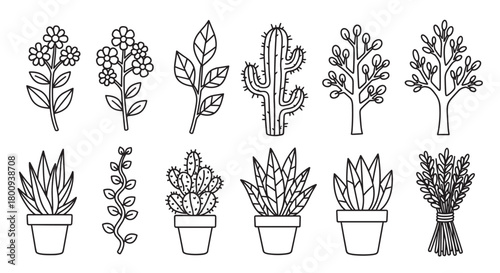 A collection of hand-drawn plant and flower icons in a simple black and white line art style, featuring cacti, succulents, trees, and floral elements isolated on a plain background