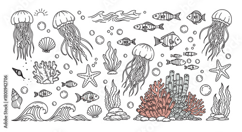 A charming collection of hand-drawn marine life illustrations, featuring jellyfish, fish, coral, and shells in a vintage doodle style, perfect for decorative or educational use