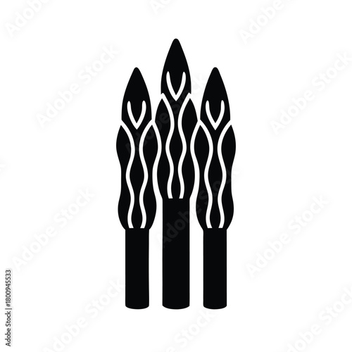 Asparagus Outlined In Bold Vector Illustration