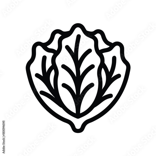 Lettuce Leaves Outline Vector Illustration