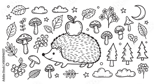 A charming set of hand-drawn doodle illustrations featuring a cute hedgehog with an apple, mushrooms, leaves, and other woodland elements on a light background