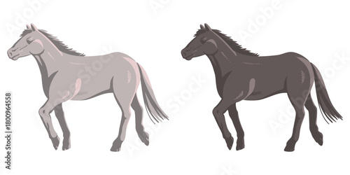 写実的な白馬と黒馬のイラスト