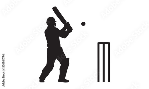 Silhouette of a cricket player batting with wickets and adobe illustrator icon
