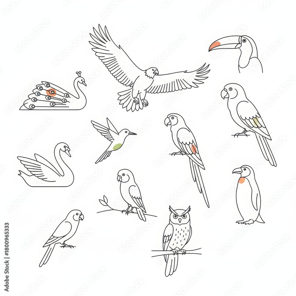 Naklejka premium Diverse bird illustration collection with elegant line art. Each animal drawing captures graceful essence of wildlife and nature, showcasing unique feather, wing, beak forms. peaceful