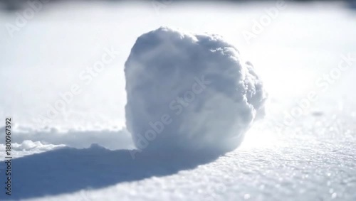Snowball Rolling on a Sunny Winter Day.