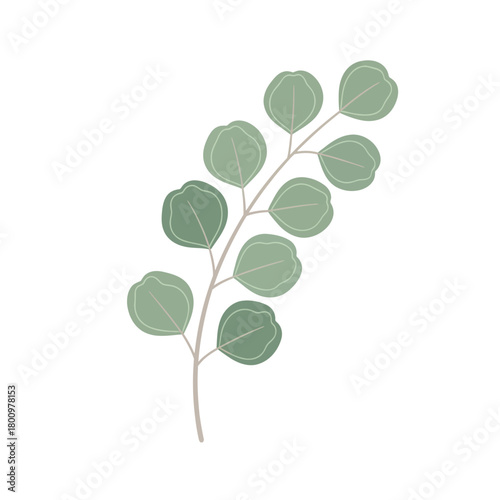 Minimalist illustration of a fresh eucalyptus branch with round green leaves, a simple and elegant botanical design perfect for natural decor and wellness themes