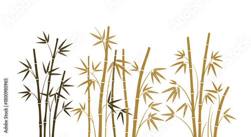 Stylized illustration of bamboo plants with slender stalks and delicate leaves in varying brown tones, isolated on a clean white background.