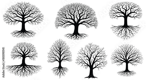 Set of seven detailed black and white silhouettes of trees without leaves, showcasing their branches and prominent root structures.