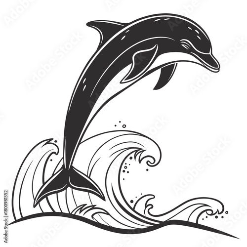 fish, dolphin, vector, animal, sea, illustration, shar