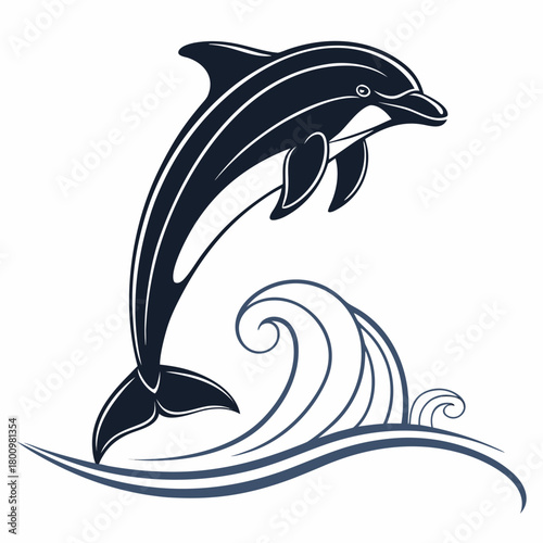 dolphin vector illustration