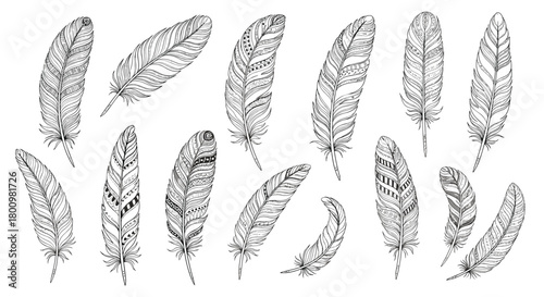 Set of hand-sketched feathers showcasing intricate tribal and bohemian patterns in a black and white line art style.