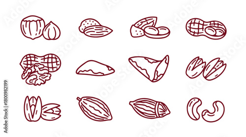 Icons of nuts and seeds. Hazelnut, almond, and peanut. Walnut, Brazil nut, and pistachio icons. Cacao and cashew nuts. Linear collection. Quality line set. Vector.