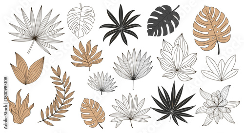 Collection of hand-drawn tropical and exotic leaves in various styles and colors, perfect for botanical illustrations and design elements.