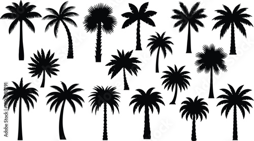 Tropical palm tree silhouettes collection, black vector icons set, summer beach decoration, isolated illustration for vacation design and logo templates
