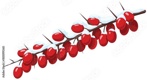 A thorny branch covered in vibrant red berries and fresh white snow, creating a beautiful winter scene.