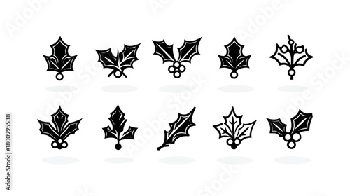 Stylized black and white holly leaf and berry icons set for Christmas and winter holiday graphic design elements
