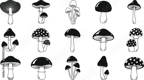 Black and white mushroom line art collection, fungi doodle icons set, forest, nature, and fantasy elements, hand drawn vector illustration.