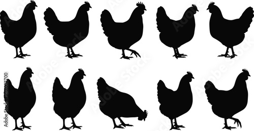 Farm chicken or hen silhouettes collection in various poses, standing and pecking, poultry farming and domestic bird icons vector set.