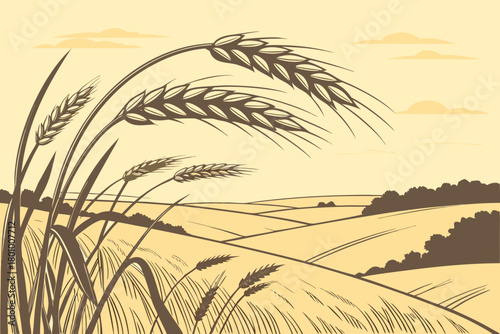 Rural wheat field during golden hour, realistic stalk details, warm glowing horizon
