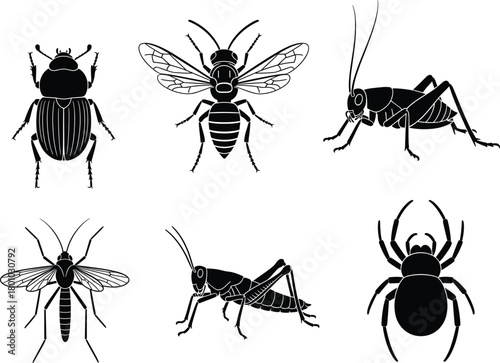Detailed Black and White Insect and Bug Collection Featuring Beetle, Wasp, Grasshopper, and Spider Vector.