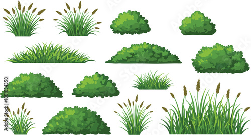 Collection of green bushes and grass plants, natural foliage illustration for landscape design, garden vegetation and outdoor nature decoration