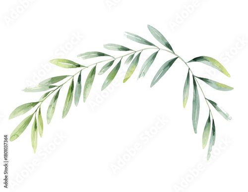 Olive Branch Border – Elegant Watercolor Botanical Curve