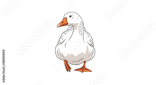 A charming cartoon illustration of a plump white domestic goose with an orange beak and webbed feet, standing on a clear white background.
