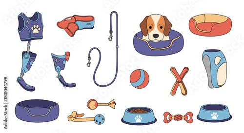 An assortment of dog accessories and pet care essentials, including specialized prosthetics, beds, toys, and feeding bowls, on a white background.