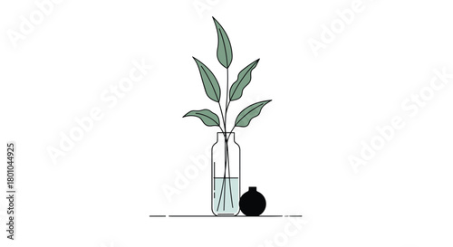 A minimalist illustration of a single green leafy branch in a clear glass vase, accompanied by a small black object on a white background.