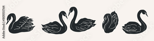 Flat vector doodle swans drawing